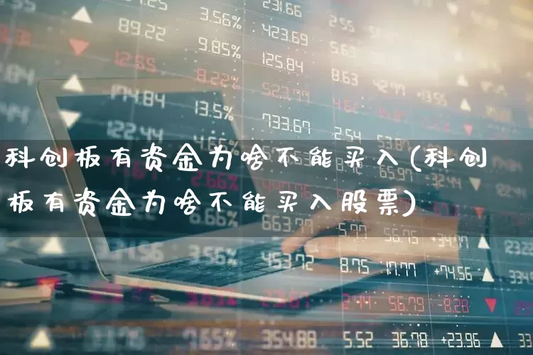 科创板有资金为啥不能买入(科创板有资金为啥不能买入股票)_https://www.ljyuan-tech.com_上交所_第1张