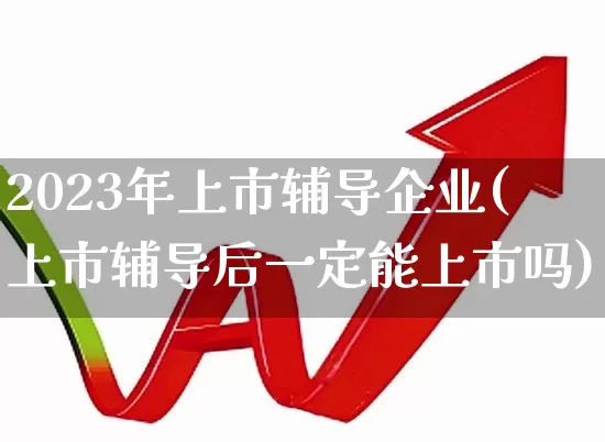 2023年上市辅导企业(上市辅导后一定能上市吗)_https://www.ljyuan-tech.com_深交所_第1张
