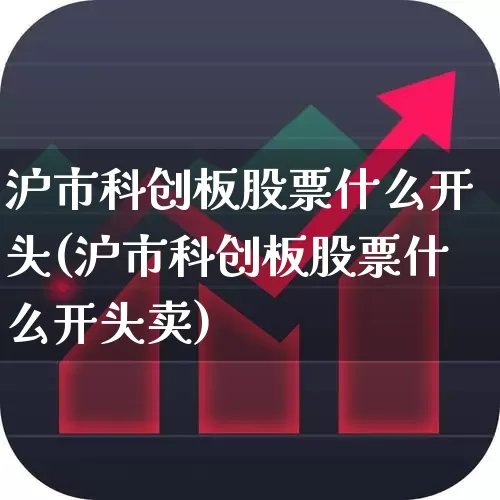 沪市科创板股票什么开头(沪市科创板股票什么开头卖)_https://www.ljyuan-tech.com_上交所_第1张