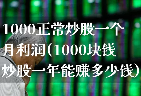 1000正常炒股一个月利润(1000块钱炒股一年能赚多少钱)_https://www.ljyuan-tech.com_科创吧_第1张