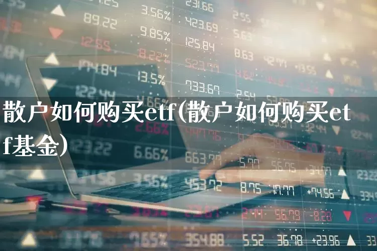 散户如何购买etf(散户如何购买etf基金)_https://www.ljyuan-tech.com_创业板_第1张