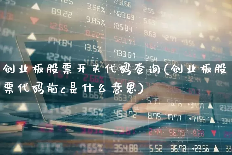 创业板股票开头代码查询(创业板股票代码前c是什么意思)_https://www.ljyuan-tech.com_北交所_第1张
