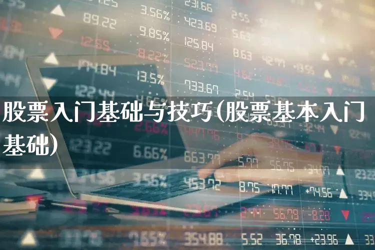 股票入门基础与技巧(股票基本入门基础)_https://www.ljyuan-tech.com_创业板_第1张