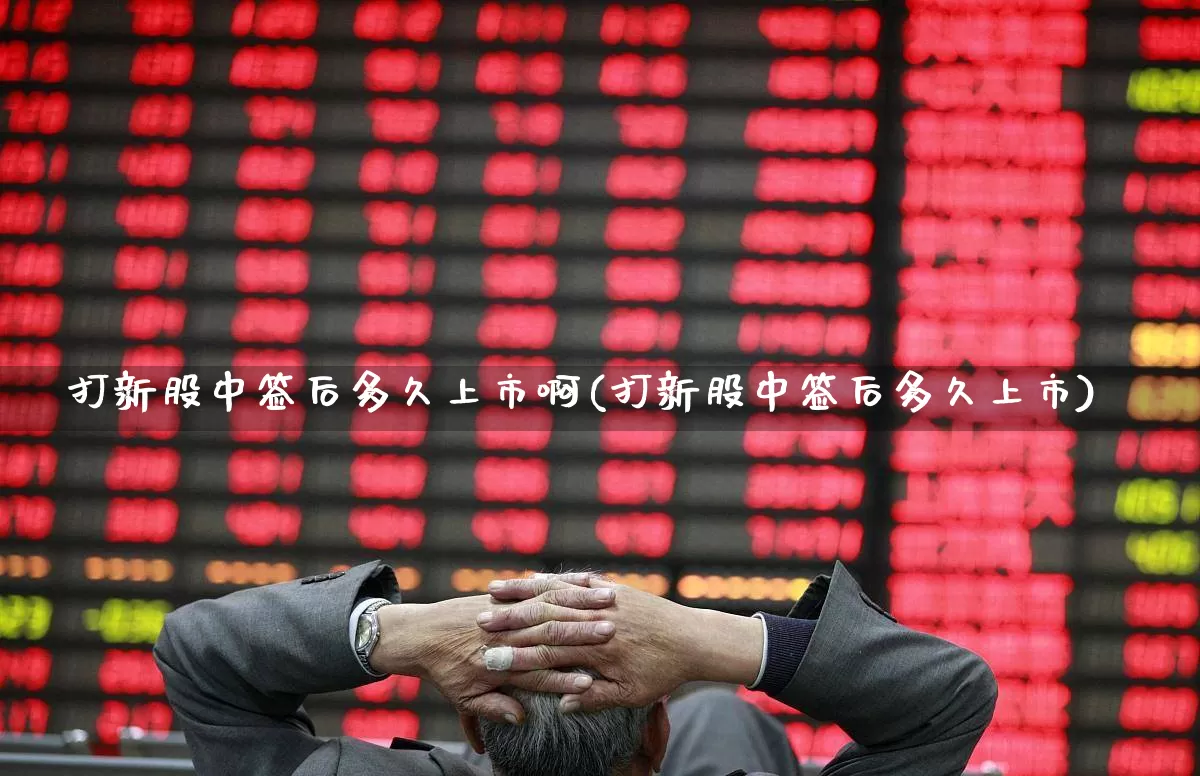 打新股中签后多久上市啊(打新股中签后多久上市)_https://www.ljyuan-tech.com_上交所_第1张