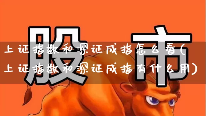 上证指数和深证成指怎么看(上证指数和深证成指有什么用)_https://www.ljyuan-tech.com_深交所_第1张