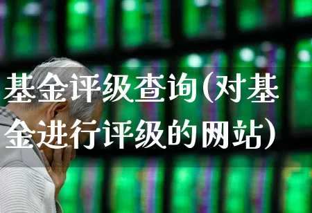基金评级查询(对基金进行评级的网站)_https://www.ljyuan-tech.com_创业板_第1张