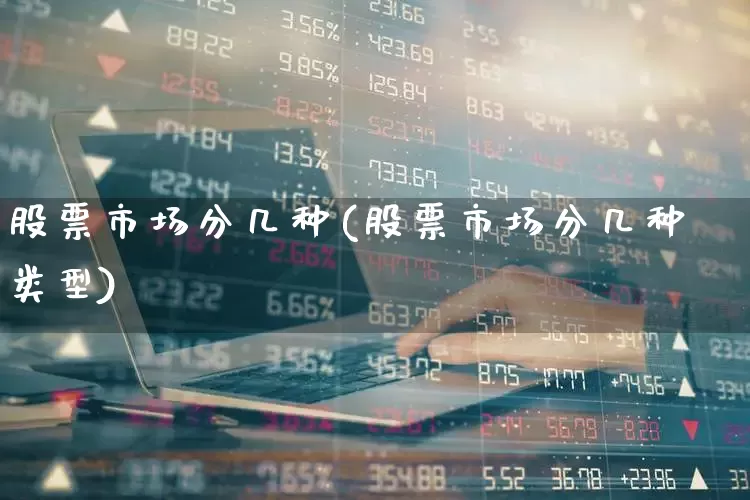 股票市场分几种(股票市场分几种类型)_https://www.ljyuan-tech.com_科创板_第1张