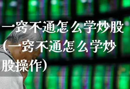 一窍不通怎么学炒股(一窍不通怎么学炒股操作)_https://www.ljyuan-tech.com_北交所_第1张