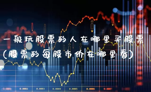 一般玩股票的人在哪里买股票(股票的每股市价在哪里看)_https://www.ljyuan-tech.com_创业板_第1张