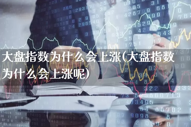 大盘指数为什么会上涨(大盘指数为什么会上涨呢)_https://www.ljyuan-tech.com_创业板_第1张