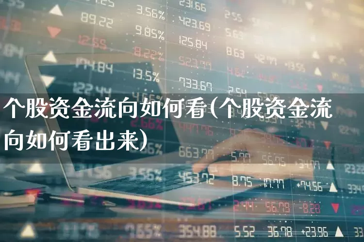 个股资金流向如何看(个股资金流向如何看出来)_https://www.ljyuan-tech.com_创业板_第1张