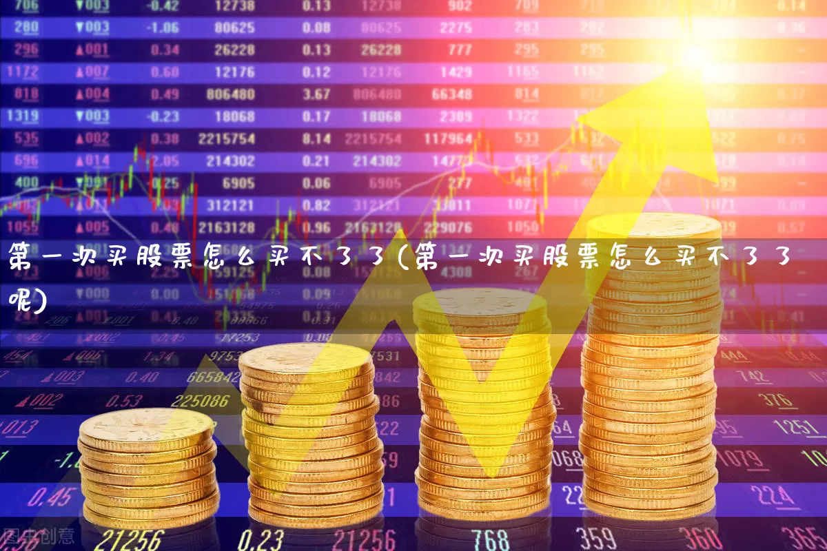 第一次买股票怎么买不了了(第一次买股票怎么买不了了呢)_https://www.ljyuan-tech.com_深交所_第1张
