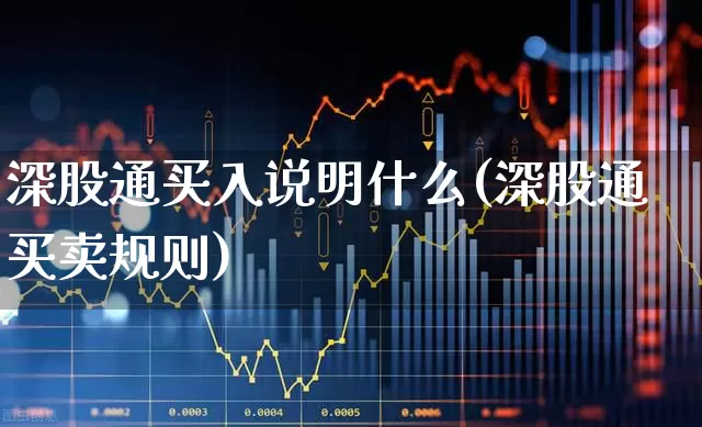 深股通买入说明什么(深股通买卖规则)_https://www.ljyuan-tech.com_深交所_第1张