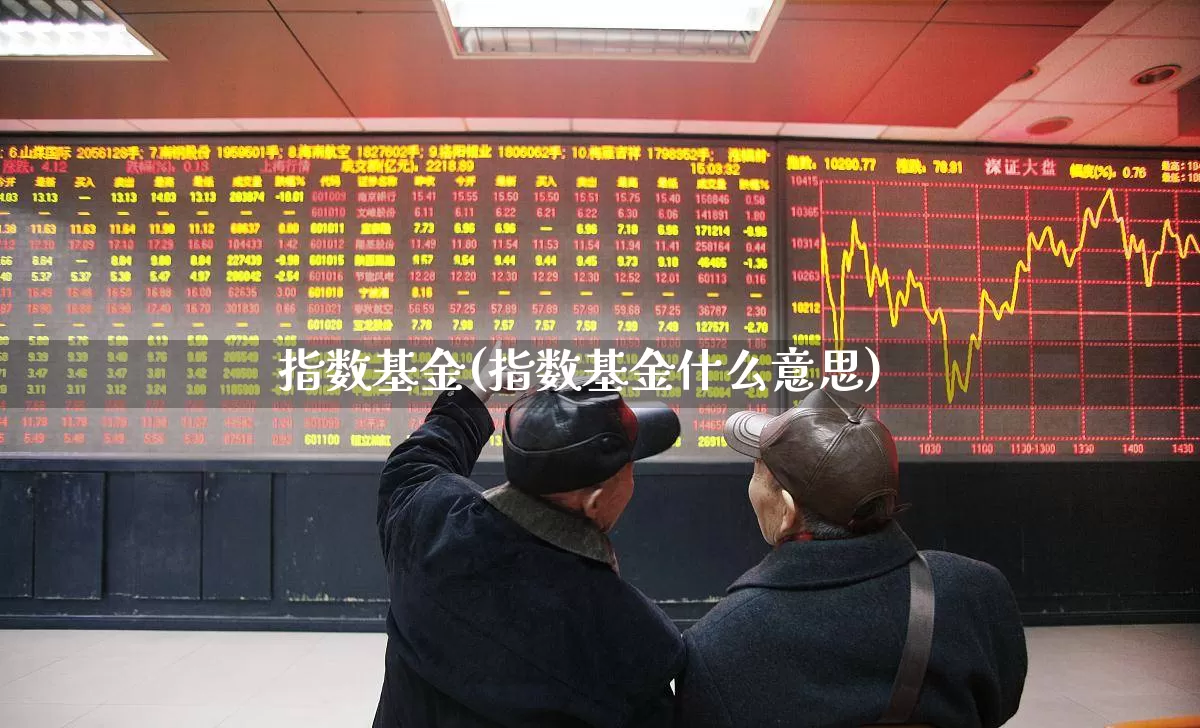 指数基金(指数基金什么意思)_https://www.ljyuan-tech.com_创业板_第1张