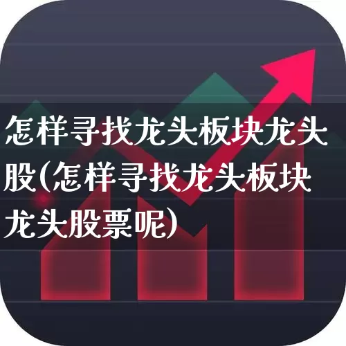 怎样寻找龙头板块龙头股(怎样寻找龙头板块龙头股票呢)_https://www.ljyuan-tech.com_上交所_第1张