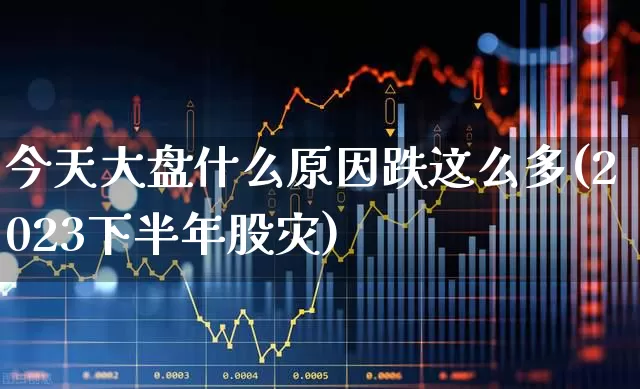 今天大盘什么原因跌这么多(2023下半年股灾)_https://www.ljyuan-tech.com_科创板_第1张