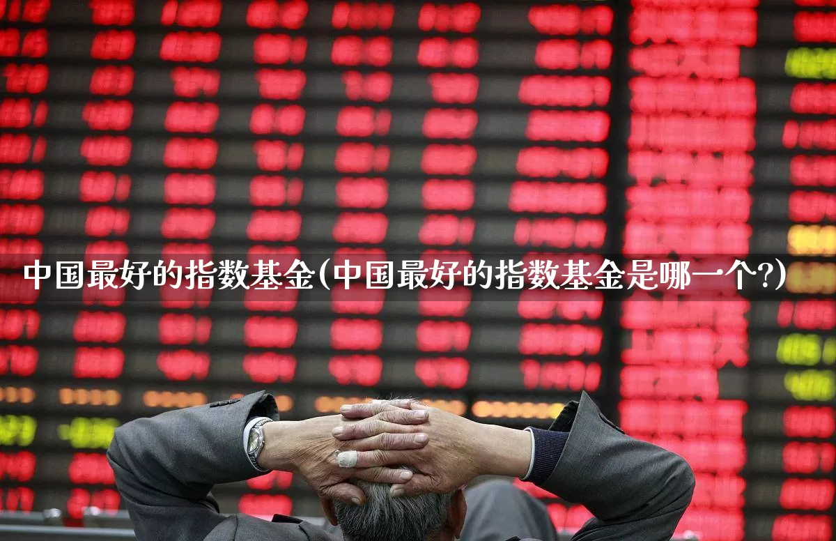 中国最好的指数基金(中国最好的指数基金是哪一个?)_https://www.ljyuan-tech.com_深交所_第1张