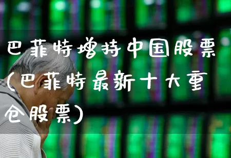 巴菲特增持中国股票(巴菲特最新十大重仓股票)_https://www.ljyuan-tech.com_科创板_第1张