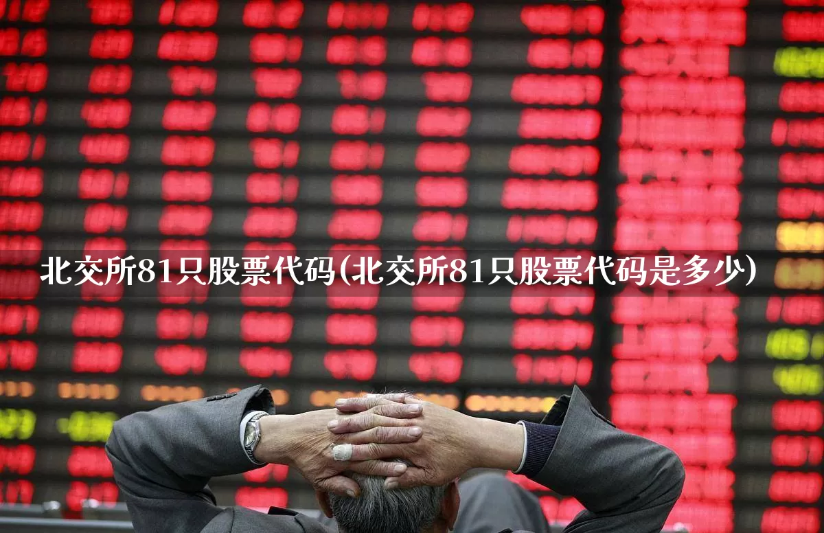 北交所81只股票代码(北交所81只股票代码是多少)_https://www.ljyuan-tech.com_科创板_第1张