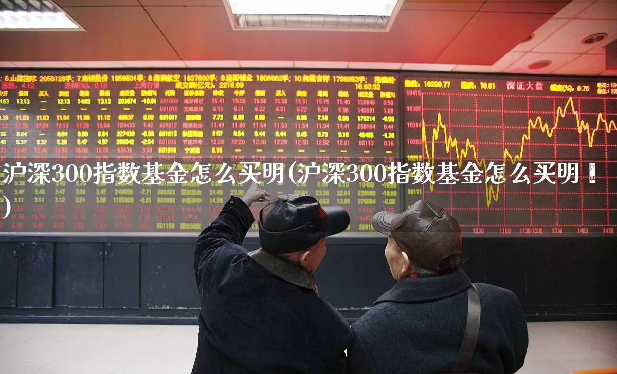 沪深300指数基金怎么买明(沪深300指数基金怎么买明∵)_https://www.ljyuan-tech.com_上交所_第1张
