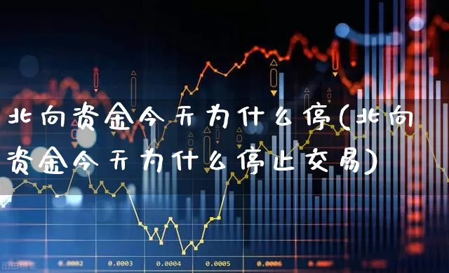 北向资金今天为什么停(北向资金今天为什么停止交易)_https://www.ljyuan-tech.com_深交所_第1张