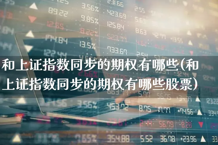 和上证指数同步的期权有哪些(和上证指数同步的期权有哪些股票)_https://www.ljyuan-tech.com_上交所_第1张