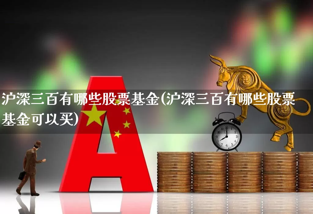 沪深三百有哪些股票基金(沪深三百有哪些股票基金可以买)_https://www.ljyuan-tech.com_上交所_第1张