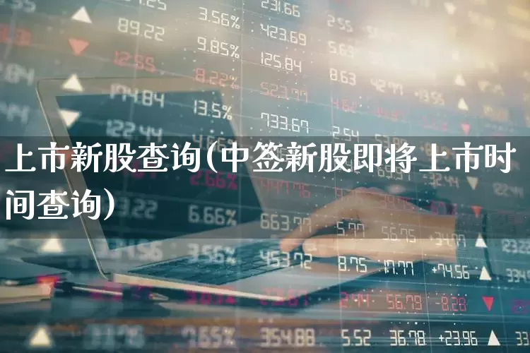 上市新股查询(中签新股即将上市时间查询)_https://www.ljyuan-tech.com_深交所_第1张
