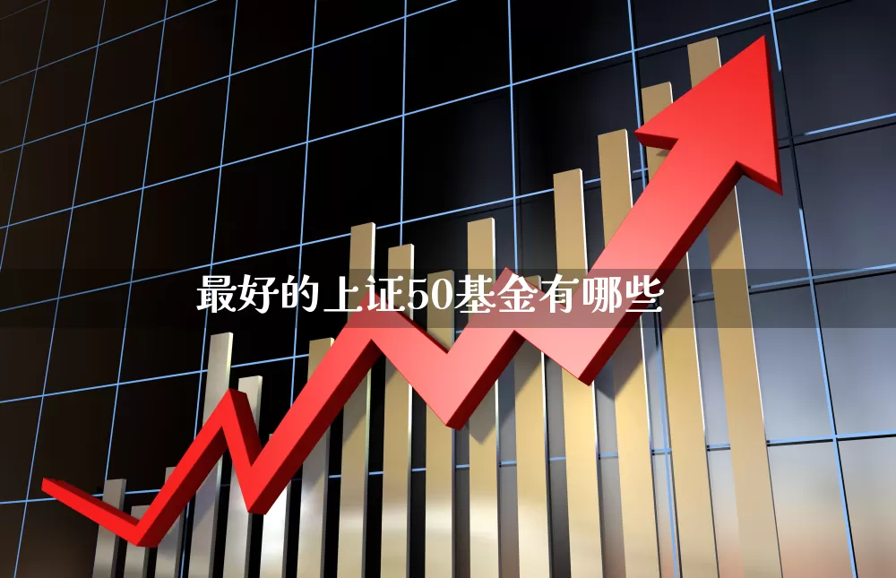 最好的上证50基金有哪些_https://www.ljyuan-tech.com_深交所_第1张