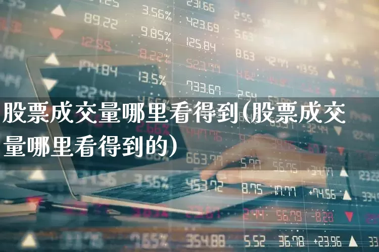 股票成交量哪里看得到(股票成交量哪里看得到的)_https://www.ljyuan-tech.com_创业板_第1张