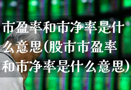 市盈率和市净率是什么意思(股市市盈率和市净率是什么意思)_https://www.ljyuan-tech.com_科创板_第1张