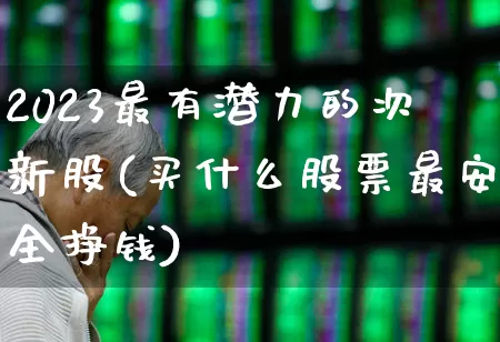 2023最有潜力的次新股(买什么股票最安全挣钱)_https://www.ljyuan-tech.com_上交所_第1张