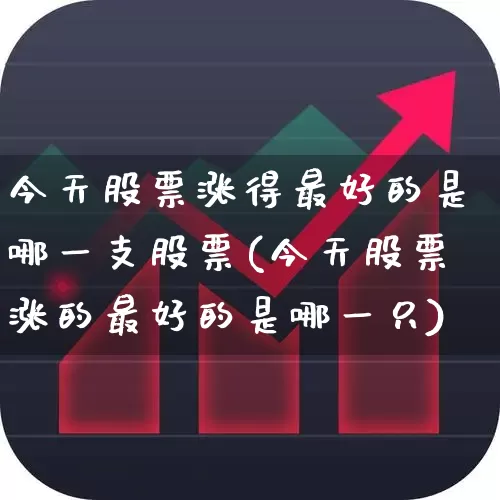 今天股票涨得最好的是哪一支股票(今天股票涨的最好的是哪一只)_https://www.ljyuan-tech.com_上交所_第1张