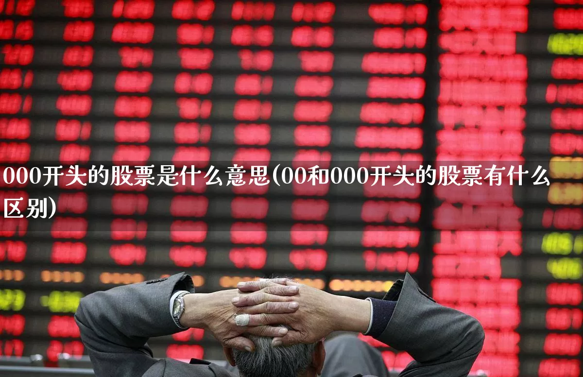 000开头的股票是什么意思(00和000开头的股票有什么区别)_https://www.ljyuan-tech.com_科创板_第1张