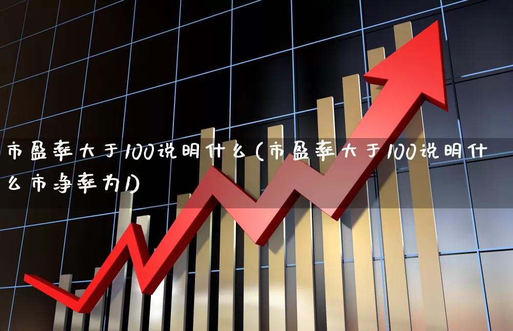 市盈率大于100说明什么(市盈率大于100说明什么市净率为1)_https://www.ljyuan-tech.com_深交所_第1张