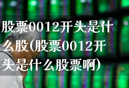 股票0012开头是什么股(股票0012开头是什么股票啊)_https://www.ljyuan-tech.com_上交所_第1张