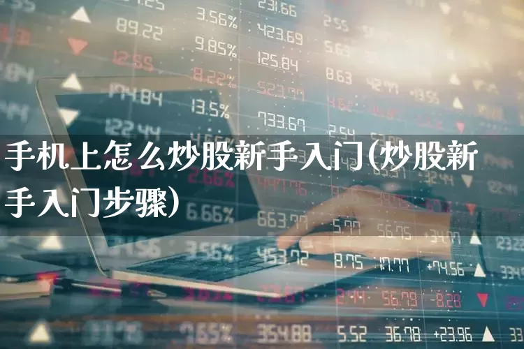 手机上怎么炒股新手入门(炒股新手入门步骤)_https://www.ljyuan-tech.com_北交所_第1张