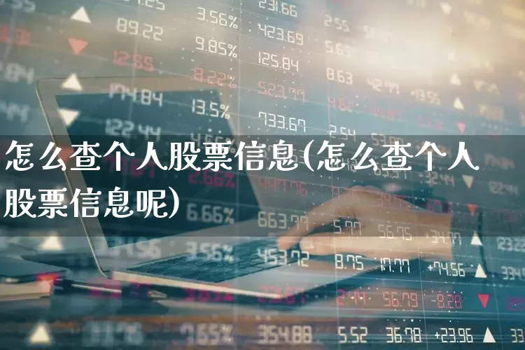 怎么查个人股票信息(怎么查个人股票信息呢)_https://www.ljyuan-tech.com_创业板_第1张