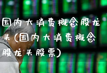 国内大消费概念股龙头(国内大消费概念股龙头股票)_https://www.ljyuan-tech.com_上交所_第1张