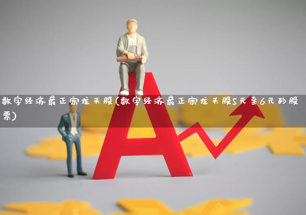 数字经济最正宗龙头股(数字经济最正宗龙头股5元至6元的股票)_https://www.ljyuan-tech.com_科创板_第1张
