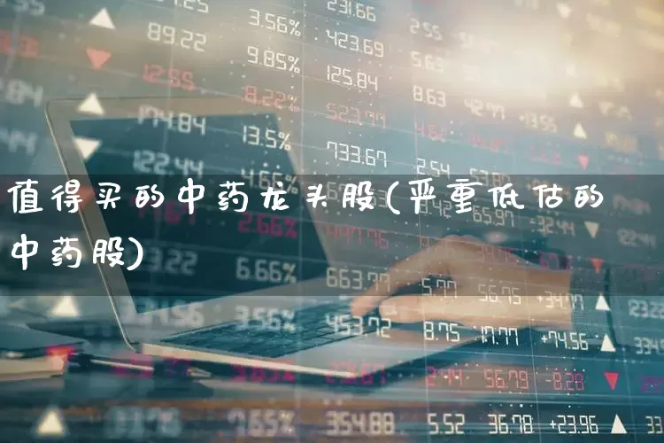 值得买的中药龙头股(严重低估的中药股)_https://www.ljyuan-tech.com_深交所_第1张