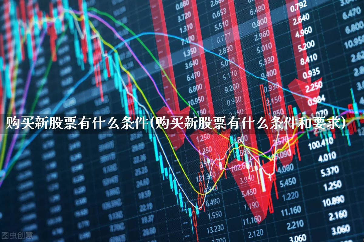 购买新股票有什么条件(购买新股票有什么条件和要求)_https://www.ljyuan-tech.com_科创板_第1张