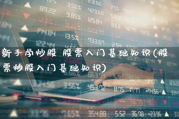新手学炒股 股票入门基础知识(股票炒股入门基础知识)_https://www.ljyuan-tech.com_上交所_第1张