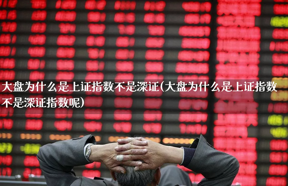 大盘为什么是上证指数不是深证(大盘为什么是上证指数不是深证指数呢)_https://www.ljyuan-tech.com_深交所_第1张