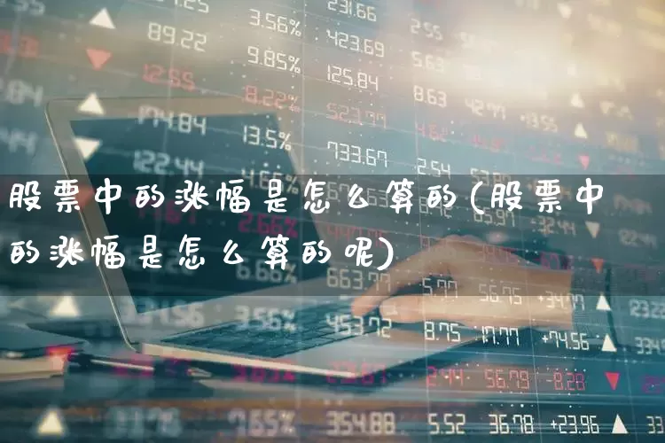 股票中的涨幅是怎么算的(股票中的涨幅是怎么算的呢)_https://www.ljyuan-tech.com_北交所_第1张