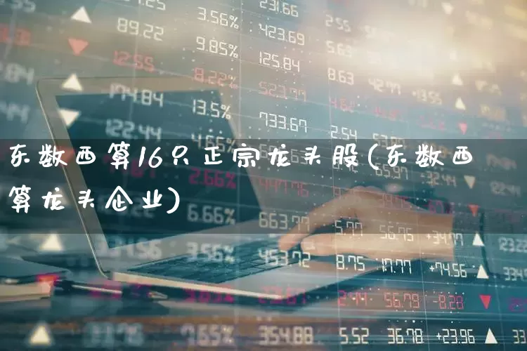 东数西算16只正宗龙头股(东数西算龙头企业)_https://www.ljyuan-tech.com_上交所_第1张