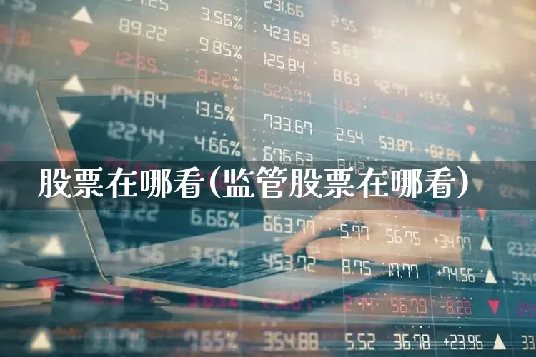 股票在哪看(监管股票在哪看)_https://www.ljyuan-tech.com_上交所_第1张