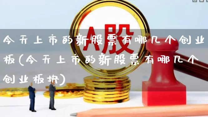 今天上市的新股票有哪几个创业板(今天上市的新股票有哪几个创业板块)_https://www.ljyuan-tech.com_上交所_第1张