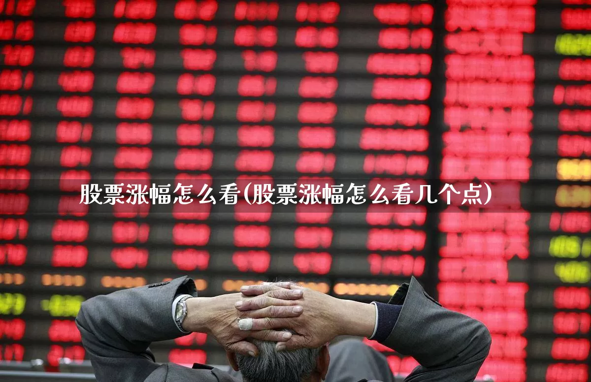 股票涨幅怎么看(股票涨幅怎么看几个点)_https://www.ljyuan-tech.com_北交所_第1张