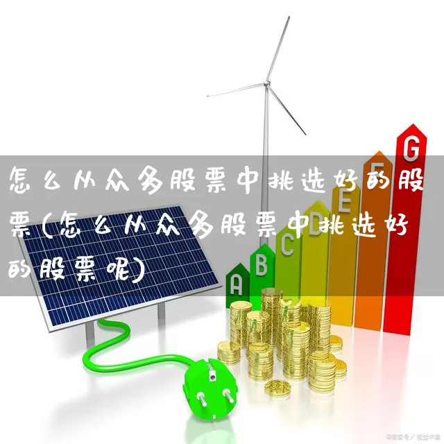 怎么从众多股票中挑选好的股票(怎么从众多股票中挑选好的股票呢)_https://www.ljyuan-tech.com_科创板_第1张